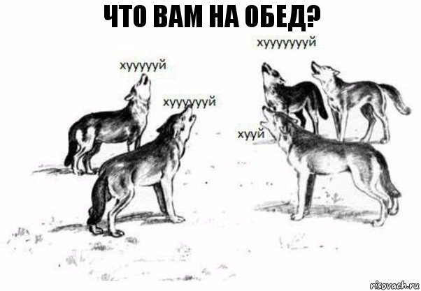 что вам на обед?, Комикс Когда хочешь