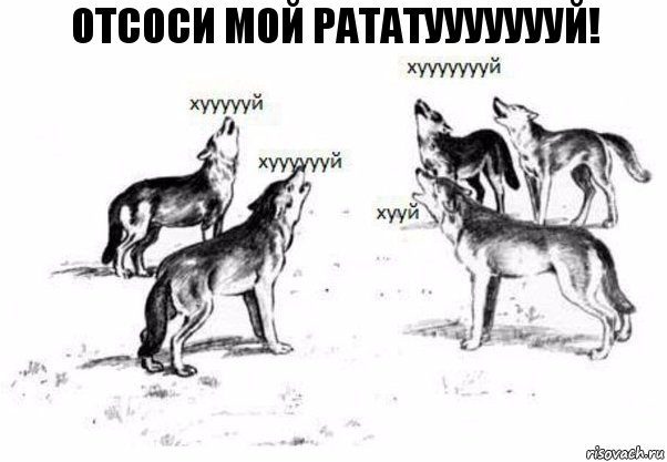 Отсоси мой рататуууууууй!