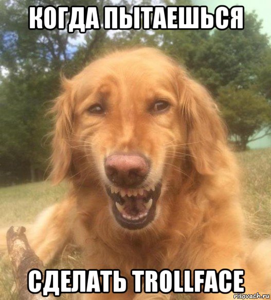 когда пытаешься сделать trollface, Мем   Когда увидел что соседского кота отнесли в чебуречную