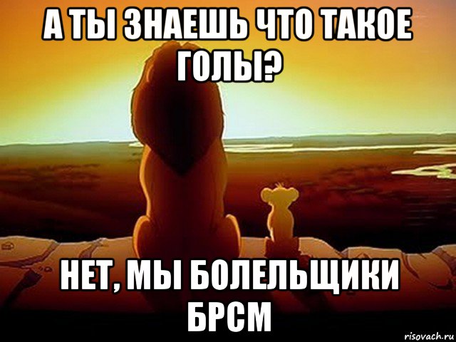 а ты знаешь что такое голы? нет, мы болельщики брсм