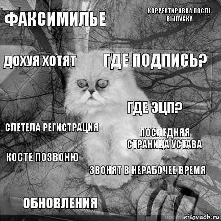 факсимилье последняя страница устава где подпись? обновления слетела регистрация корректировка после выпуска звонят в нерабочее время дохуя хотят Косте позвоню Где ЭЦП?, Комикс  кот безысходность