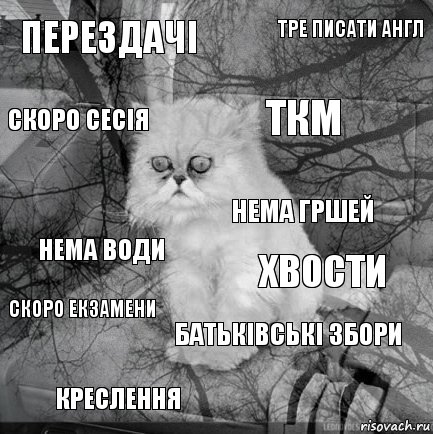 перездачі хвости ткм креслення нема води тре писати англ батьківські збори скоро сесія скоро екзамени нема гршей, Комикс  кот безысходность