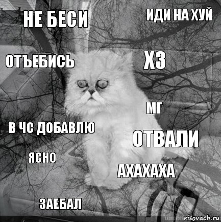 Не беси Отвали Хз Заебал В ЧС добавлю Иди на хуй Ахахаха Отъебись Ясно Мг, Комикс  кот безысходность