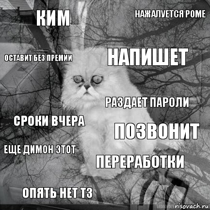 ким позвонит напишет опять нет тз сроки вчера нажалуется роме переработки оставит без премии еще димон этот раздает пароли, Комикс  кот безысходность