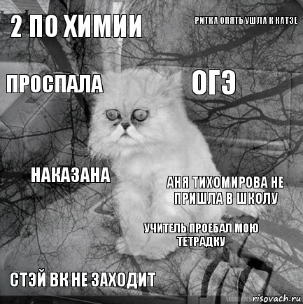 2 по Химии Аня Тихомирова не пришла в школу Огэ Стэй вк не заходит Наказана Ритка опять ушла к Катзе Учитель проебал мою тетрадку Проспала  , Комикс  кот безысходность