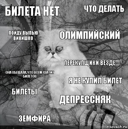 Билета нет Я не купил билет Олимпийский Земфира Она обещала, что всем хватит билетов Что делать Депрессняк Пойду выпью винишко Билеты Перекупщики везде, Комикс  кот безысходность