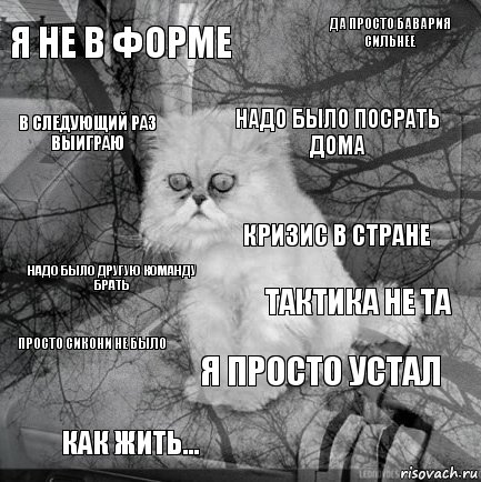 Я не в форме Тактика не та Надо было посрать дома Как жить... Надо было другую команду брать Да просто бавария сильнее Я просто устал В следующий раз выиграю Просто Сикони не было Кризис в стране, Комикс  кот безысходность