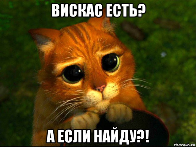 вискас есть? а если найду?!, Мем кот из шрека