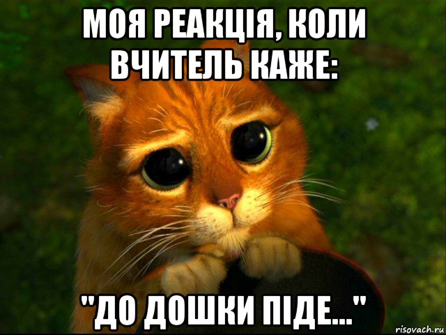 моя реакція, коли вчитель каже: "до дошки піде...", Мем кот из шрека