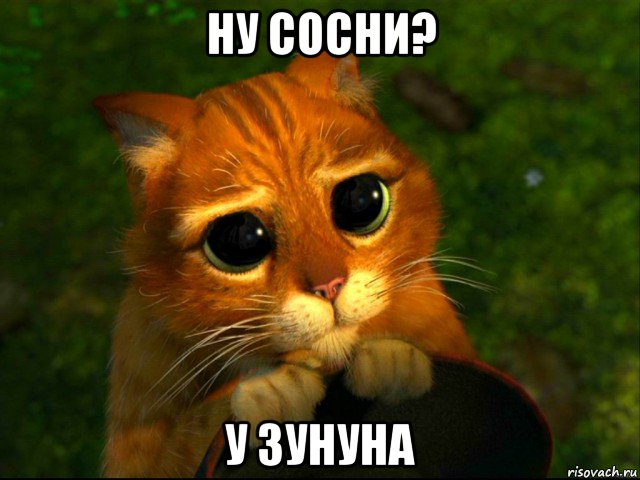 ну сосни? у зунуна, Мем кот из шрека