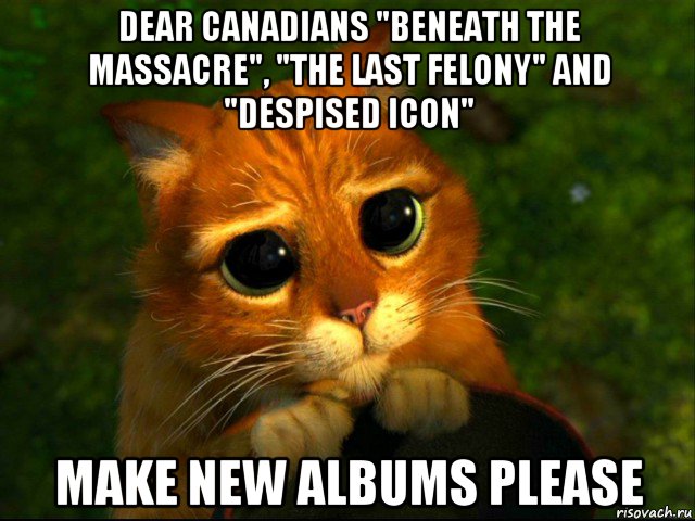 dear canadians "beneath the massacre", "the last felony" and "despised icon" make new albums please, Мем кот из шрека