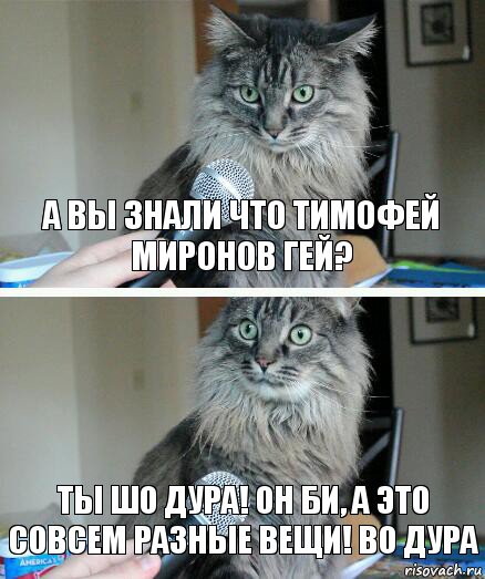 А вы знали что Тимофей миронов Гей? Ты шо дура! он би, а это совсем разные вещи! во дура, Комикс  кот с микрофоном