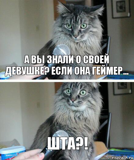 А вы знали о своей девушке? Если она геймер... ШТА?!, Комикс  кот с микрофоном