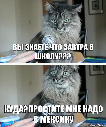 вы знаете что завтра в школу??? куда?простите мне надо в мексику, Комикс  кот с микрофоном