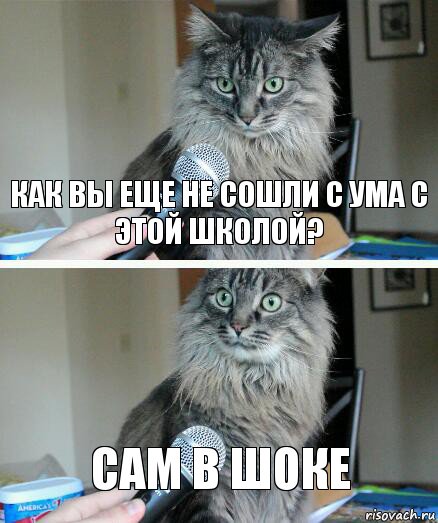 Как вы еще не сошли с ума с этой школой? Сам в шоке, Комикс  кот с микрофоном