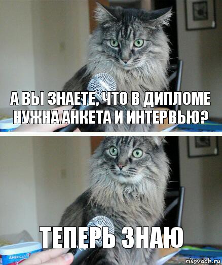 А вы знаете, что в дипломе нужна анкета и интервью? теперь знаю, Комикс  кот с микрофоном