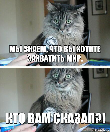 Мы знаем, что вы хотите захватить мир. Кто вам сказал?!, Комикс  кот с микрофоном