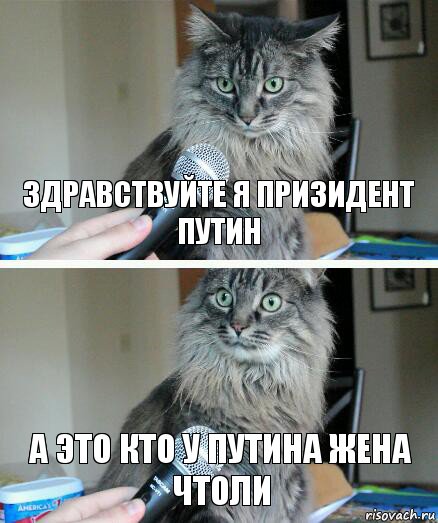 здравствуйте я призидент Путин а это кто у путина жена чтоли, Комикс  кот с микрофоном