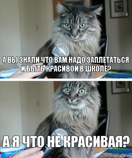 А вы знали что вам надо заплетаться и быть красивой в школе? А я что не красивая?, Комикс  кот с микрофоном