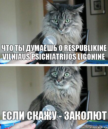 что ты думаешь о respublikine vilniaus psichiatrijos ligonine если скажу - заколют, Комикс  кот с микрофоном