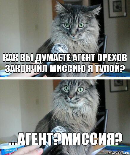 Как вы думаете агент Орехов закончил миссию я тупой? ...Агент?Миссия?, Комикс  кот с микрофоном