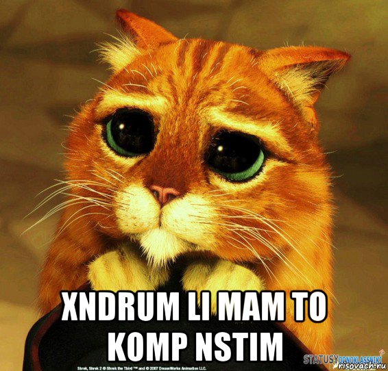  xndrum li mam to komp nstim, Мем Котик из Шрека