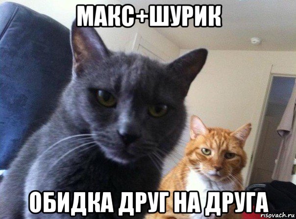 макс+шурик обидка друг на друга, Мем  Два котэ