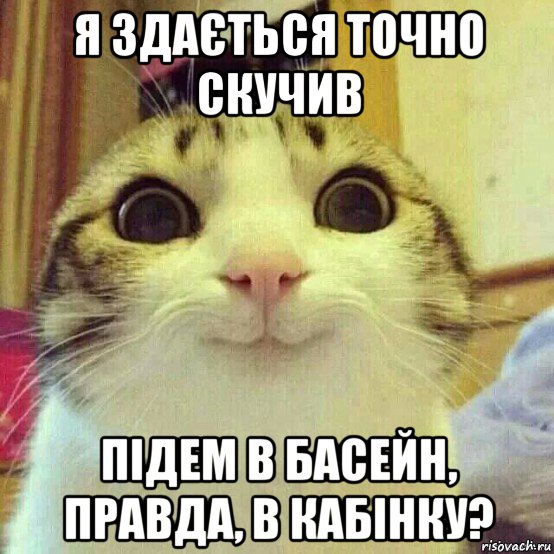 я здається точно скучив підем в басейн, правда, в кабінку?, Мем       Котяка-улыбака