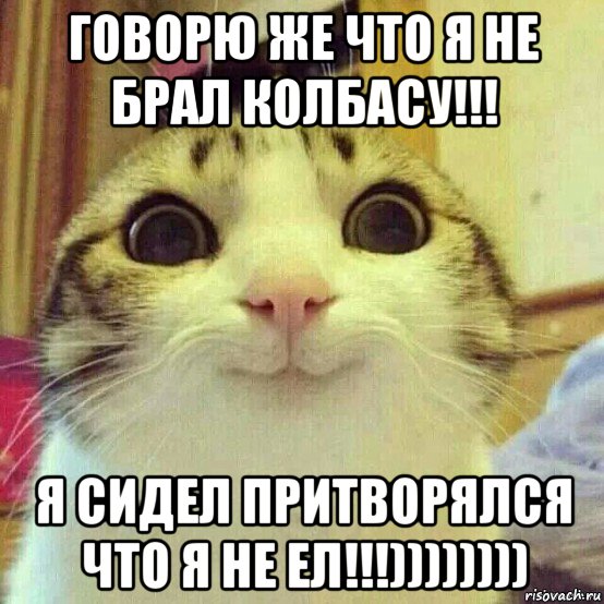 говорю же что я не брал колбасу!!! я сидел притворялся что я не ел!!!)))))))), Мем       Котяка-улыбака