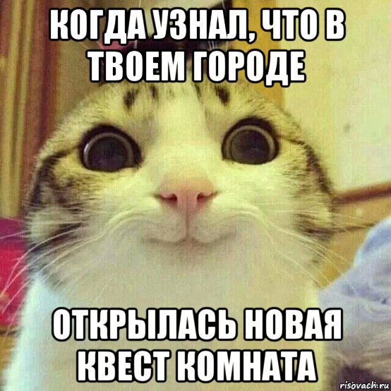 когда узнал, что в твоем городе открылась новая квест комната, Мем       Котяка-улыбака