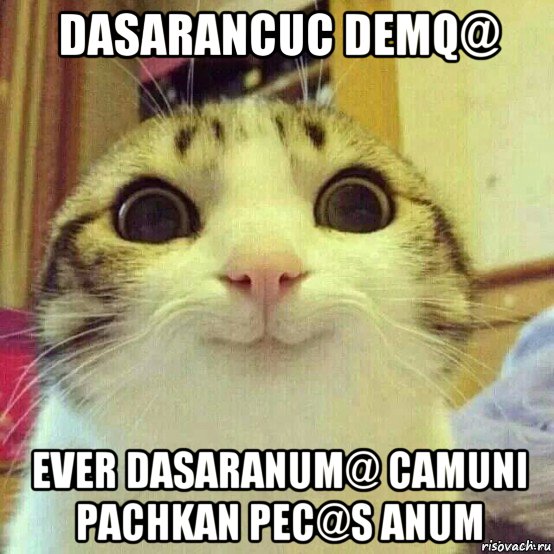 dasarancuc demq@ ever dasaranum@ camuni pachkan pec@s anum, Мем       Котяка-улыбака