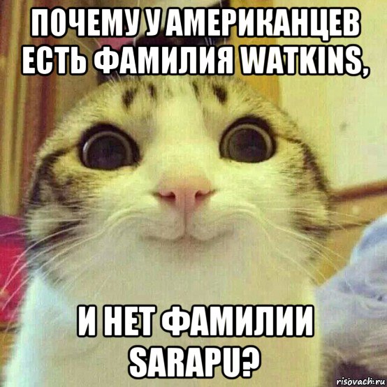 почему у американцев есть фамилия watkins, и нет фамилии sarapu?, Мем       Котяка-улыбака