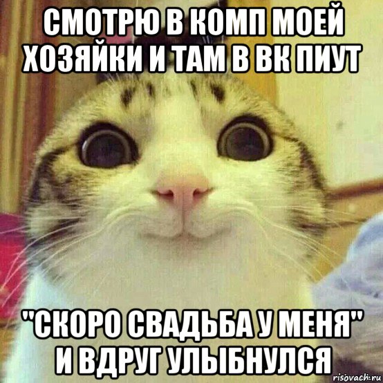 смотрю в комп моей хозяйки и там в вк пиут "скоро свадьба у меня" и вдруг улыбнулся, Мем       Котяка-улыбака