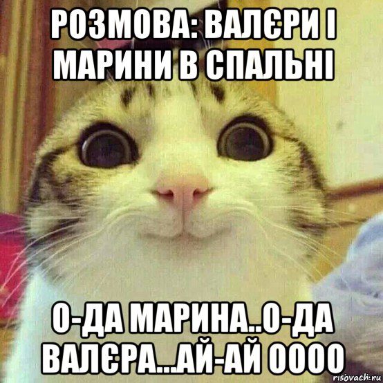 розмова: валєри і марини в спальні о-да марина..о-да валєра...ай-ай оооо, Мем       Котяка-улыбака