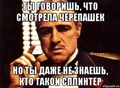 ты говоришь, что смотрела черепашек но ты даже не знаешь, кто такой сплинтер, Мем крестный отец