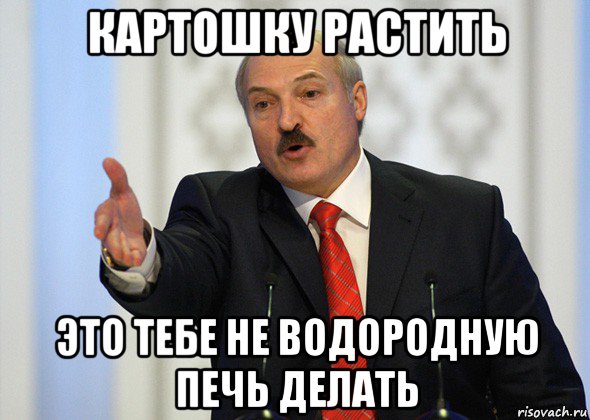 картошку растить это тебе не водородную печь делать, Мем лукашенко