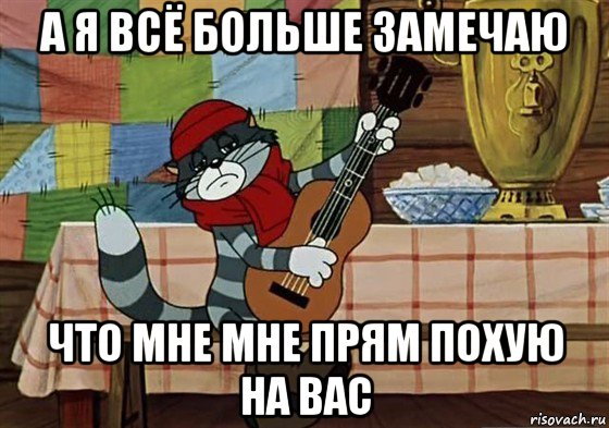 а я всё больше замечаю что мне мне прям похую на вас, Мем Грустный Матроскин с гитарой