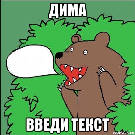 дима введи текст, Мем Медведь-шлюха