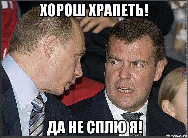 хорош храпеть! да не сплю я!, Мем Медведев Путин