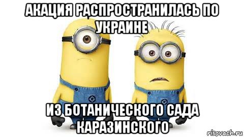 акация распространилась по украине из ботанического сада каразинского