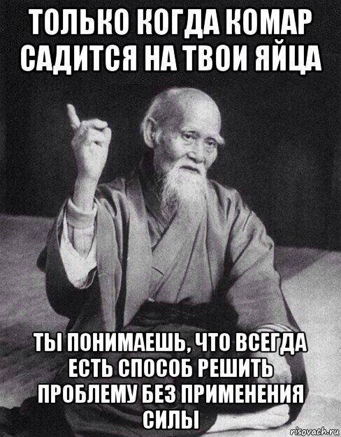 только когда комар садится на твои яйца ты понимаешь, что всегда есть способ решить проблему без применения силы, Мем Монах-мудрец (сэнсей)