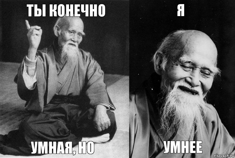 Ты конечно Умная, но Я Умнее, Комикс Мудрец-монах (4 зоны)