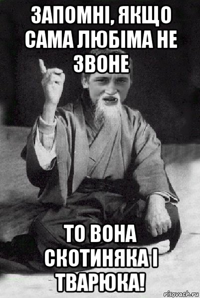 запомні, якщо сама любіма не звоне то вона скотиняка і тварюка!, Мем Мудрий паца