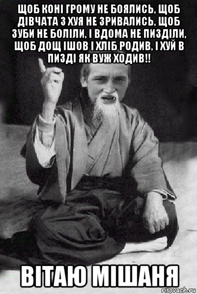 щоб коні грому не боялись, щоб дівчата з хуя не зривались, щоб зуби не боліли, і вдома не пизділи, щоб дощ ішов і хліб родив, і хуй в пизді як вуж ходив!! вітаю мішаня, Мем Мудрий паца