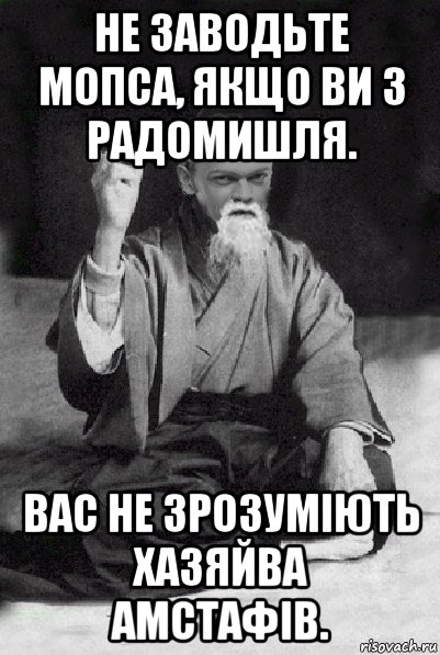 не заводьте мопса, якщо ви з радомишля. вас не зрозуміють хазяйва амстафів., Мем Мудрий Виталька