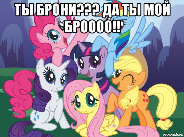 ты брони??? да ты мой броооо!! , Мем My little pony