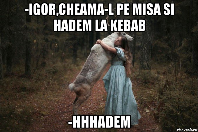 -igor,cheama-l pe misa si hadem la kebab -hhhadem, Мем Наивный Олень шаблон 5