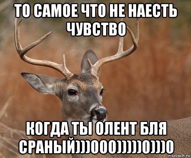 то самое что не наесть чувство когда ты олент бля сраный)))000)))))0)))0, Мем  Наивный Олень v2