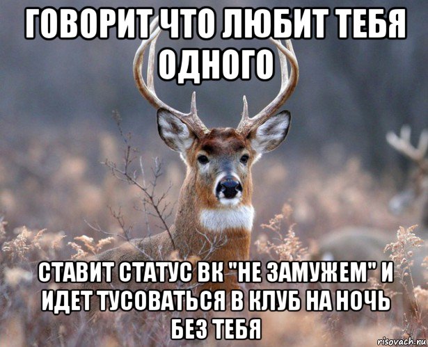 говорит что любит тебя одного ставит статус вк "не замужем" и идет тусоваться в клуб на ночь без тебя, Мем   Наивный олень