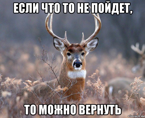 если что то не пойдет, то можно вернуть, Мем   Наивный олень